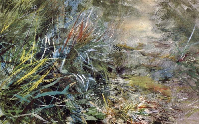 Anders Zorn Unknow work 29 Spain oil painting art